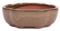 Preview: Bonsai - Schale oval 15 x 12 x 5.5 cm hellbraun  15026