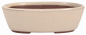 Preview: Bonsaischale oval, cremefarben – 15,5 × 11,3 × 4,5 cm – aus Japan – frostfest