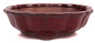 Preview: Bonsai - Schale rund 14 Ø x 4 cm bordeauxfarben  15220