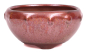 Preview: Bonsai - Schale rund 11 Ø x 5.5 cm  kupferfarben 15324