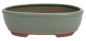 Preview: Bonsai - Schale oval 21.5 x 16 x 6.8 cm mattgrün 22090