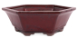Preview: Bonsai - Schale 6-eckig 26.5 Ø x 9 cm bordeaux  22092