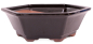 Preview: Bonsai - Schale 6-eckig 26.5 Ø x 9 cm schwarz  22104