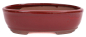 Preview: Bonsai - Schale oval 21.5 x 16.5 x 6.5 cm braunrot  22110