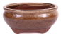 Preview: Bonsai - Schale oval 15.5 x 12.5 x 7.3 cm , braun / beige 22134