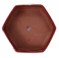 Preview: Bonsai - Schale 6-eckig 19.5 Ø x 6.5 cm rotbraun  22148