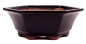 Preview: Bonsai - Schale 6-eckig 18.5 Ø x 7 cm schwarz  22170