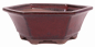 Preview: Bonsai - Schale 6-eckig 18.5 Ø x 7 cm bordeaux 22171