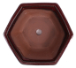 Preview: Bonsai - Schale 6-eckig 18.5 Ø x 7 cm bordeaux 22171