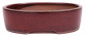 Preview: Bonsai - Schale oval 20.5 x 16 x 6 cm bordeaux  22184