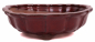 Preview: Bonsai - Schale rund 21.5 Ø x 7 cm bordeauxfarben  22187