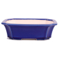 Preview: Bonsai - Schale eckig 22 x 17 x 6,5 cm  blau 22882