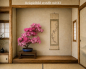 Preview: Bonsai Japanische Satsuki Azalee 'Asuka-no-Homare' Rhododendron indicum 229/147