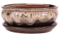 Preview: Bonsai - Schale oval 21 x 16.5 x 8 cm , beige / braun , mit Untersetzer 23204