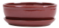 Preview: Bonsai - Schale oval 22 x 16.5 x 6.5 cm  braunrot mit Untersetzer 23209