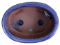 Preview: Bonsai - Schale oval,  16 x 11,5 x 6,5 cm, Blau , mit Untersetzer 23984
