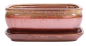 Preview: Bonsai - Schale eckig 26 x 21 x 10 cm , beige / kupfer , mit Untersetzer 31133
