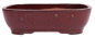 Preview: Bonsai - Schale  eckig 37 x 29 x 10.5 cm bordeaux 40076