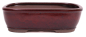 Preview: Bonsai - Schale eckig 32 x 24 x 10 cm bordeaux 40157