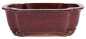 Preview: Bonsai - Schale  eckig  31 x 27 x 11 cm boreaux frostfest 40170