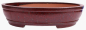 Preview: Bonsai - Schale  oval 55.5 x 45.5 x 13 cm bordeaux frostfest 40171