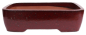 Preview: Bonsai - Schale eckig 53 x 42 x 10 cm bordeaux frostfest 40178