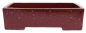 Preview: Bonsai - Schale  eckig 42.5 x 35 x 11 cm bordeaux frostfest 40196A 2.Wahl