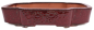 Preview: Bonsai - Schale eckig 53.5 x 44 x 11 cm bordeaux mit Relief  frostfest 40210