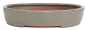 Preview: Bonsai - Schale oval 38 x 31.5 x 7.5 cm mattgrün 40239