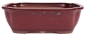Preview: Bonsai - Schale eckig 33 x 26 x 10 cm bordeaux 40249