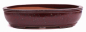 Preview: Bonsai - Schale oval 54 x 43.5 x 12.5 cm bordeaux frostfest 40262