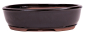 Preview: Bonsai - Schale oval 31 x 24 x 8.5 cm schwarz  40272