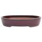 Preview: Bonsai - Schale oval 38 x 31.5 x 7.5 cm, bordeaux 40403