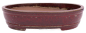 Preview: Bonsai - Schale oval 41 x 33 x 10 cm, bordeaux, frostfest 40434