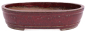 Preview: Bonsai - Schale oval 41 x 33 x 10 cm, bordeaux, frostfest 40434