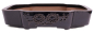 Preview: Bonsai - Schale eckig 53.5 x 44 x 11 cm, dunkelblau mit Relief  frostfest 40448