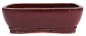 Preview: Bonsai - Schale  eckig  31 x 25 x 9.5 cm bordeaux frostfest 40461