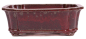 Preview: Bonsai - Schale eckig 36 x 28 x 12.5 cm  bordeaux  frostfest 40462