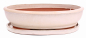 Preview: Bonsai - Schale oval 38.5 x 30.5 x 9.5 cm creme mit Untersetzer 41124