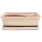 Preview: Bonsai - Schale eckig 31 x 23,5 x 9,5 cm, cremefarben, mit Untersetzer 41912