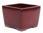 Preview: Bonsai Kaskadenschale quadratisch 13.5 x 13.5 x 10.5 cm bordeaux 50069
