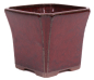 Preview: Bonsai Kaskadenschale quadratisch 13 x 13 x 11.5 cm bordeaux 50071