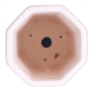 Preview: Bonsai - Kaskadenschale 6-eckig 10,5 x 10,5 x 17 cm, weiss - rosa 50967