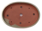 Preview: Bonsai - Schale Waldschale oval 39 x 27 x 5 cm mattgrün frostfest  51087