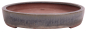 Preview: Tokoname ovale Bonsai-Schale Suisyouen 45,6 × 35,2 × 6,1 cm – gebraucht 58002