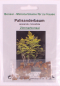 Preview: Bonsai - 50 Samen Jacaranda mimosifolia - Jacaranda / Palisanderbaum 90032