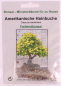 Preview: Bonsai - 25 Samen Carpinus caroliana - Amerikanische Hainbuche 90146