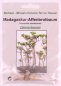Preview: Bonsai - 4 Samen Adansonia suarezensis - Madagaskar Affenbrotbaum 90148