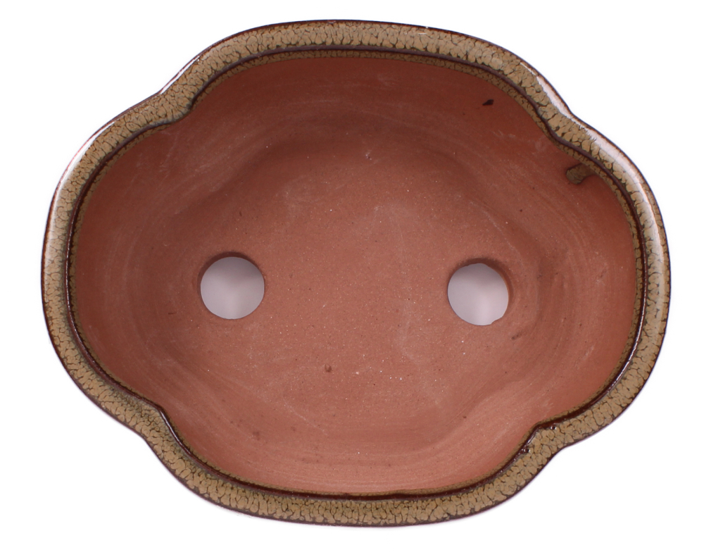 Preview: Bonsai - Schale oval 15 x 12 x 5.5 cm hellbraun  15026
