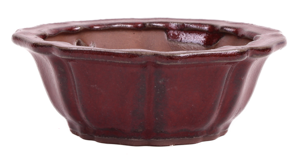Bonsai - Schale rund 13.5 Ø x 5 cm bordeaux 15047